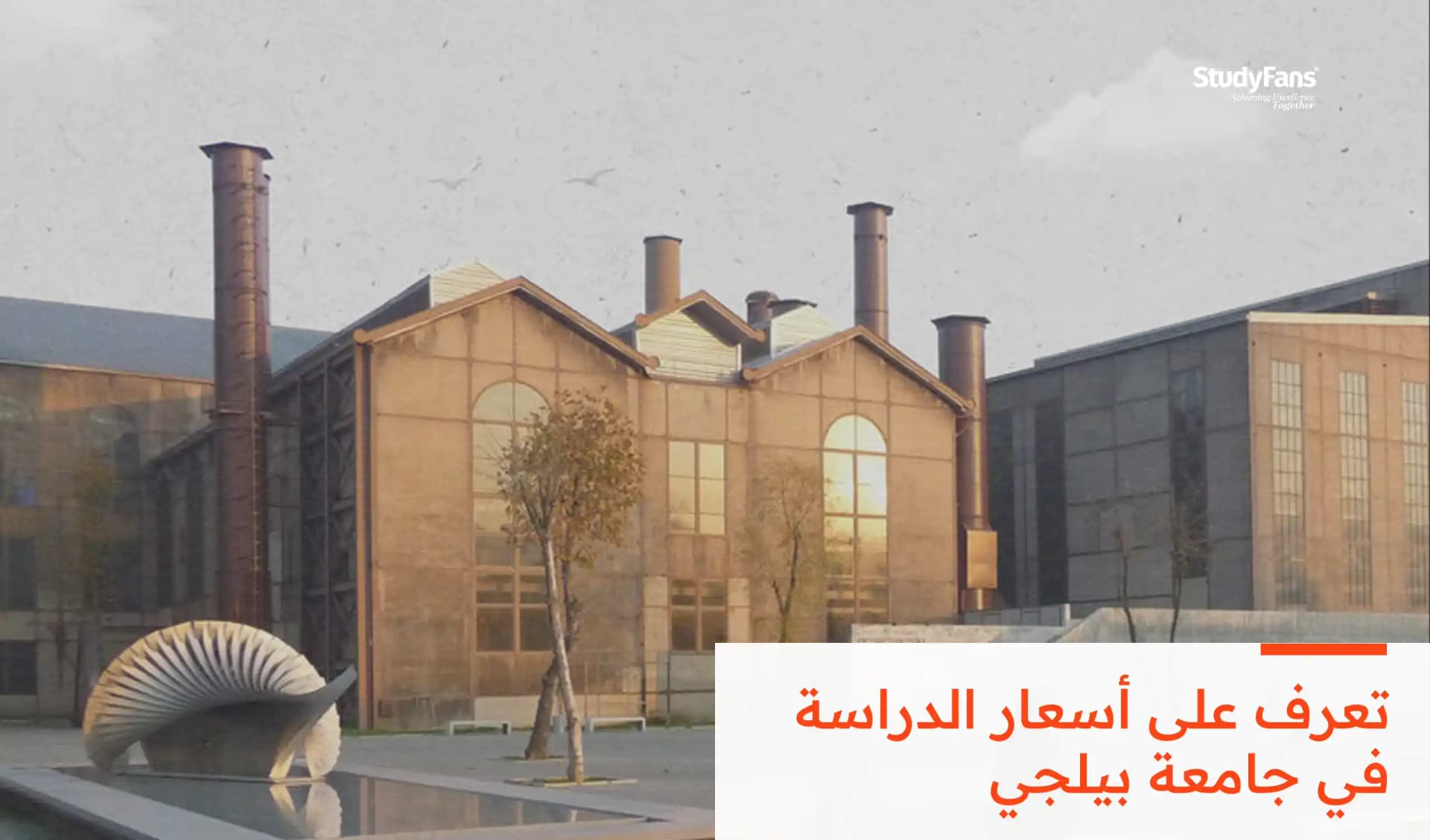 أسعار الدراسة في جامعة بيلجي