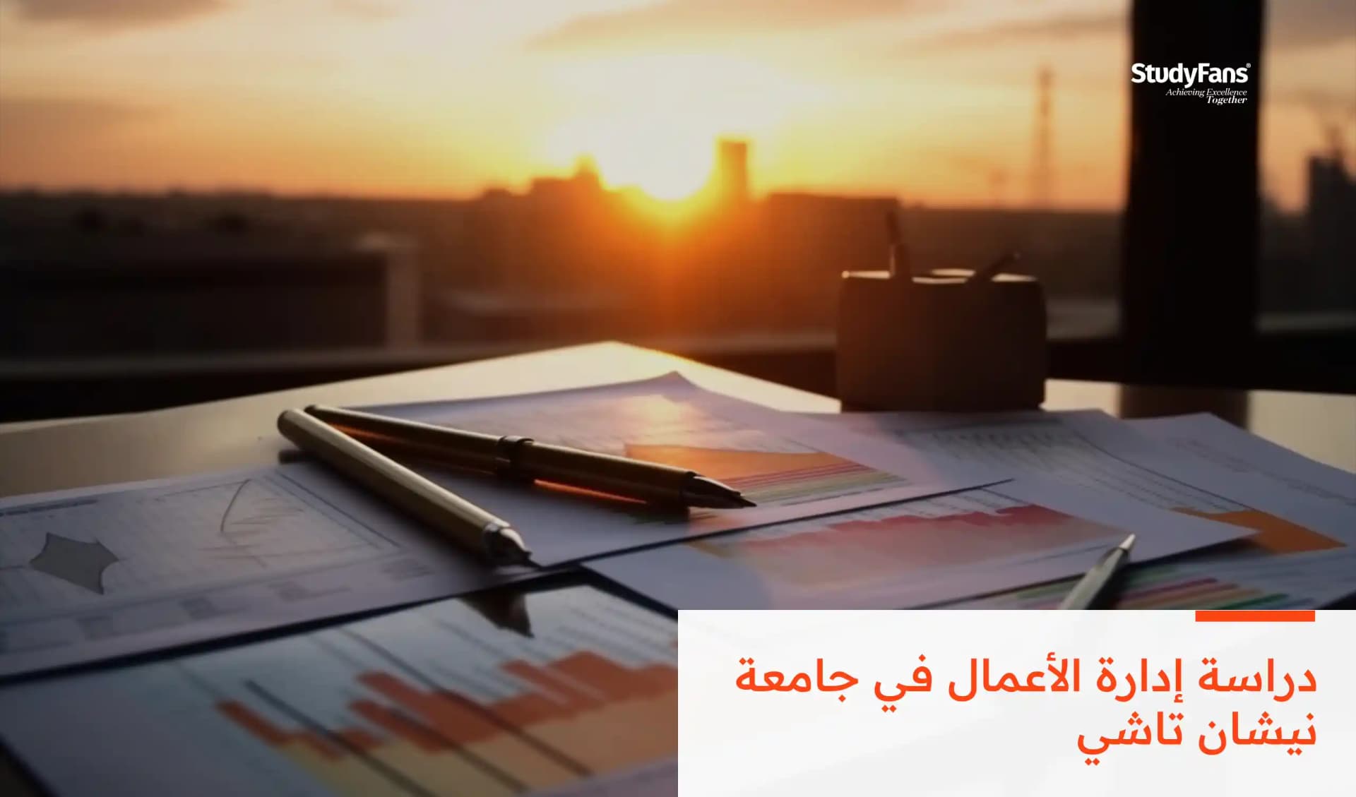 دراسة إدارة الأعمال في جامعة نيشان تاشي