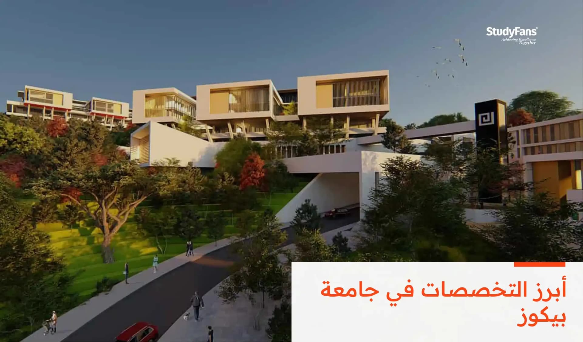 أبرز التخصصات في جامعة بيكوز