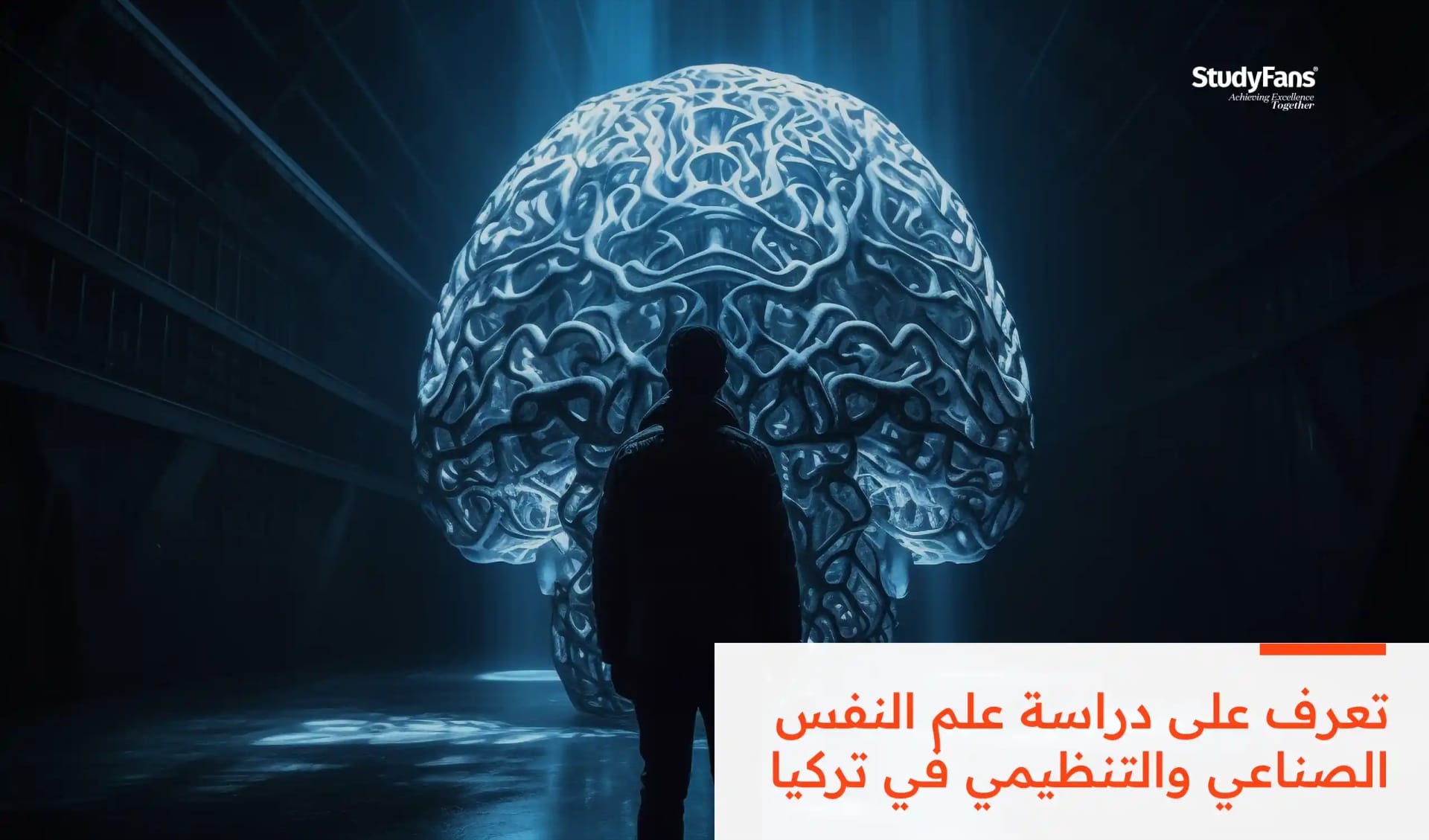 دراسة علم النفس الصناعي والتنظيمي في تركيا