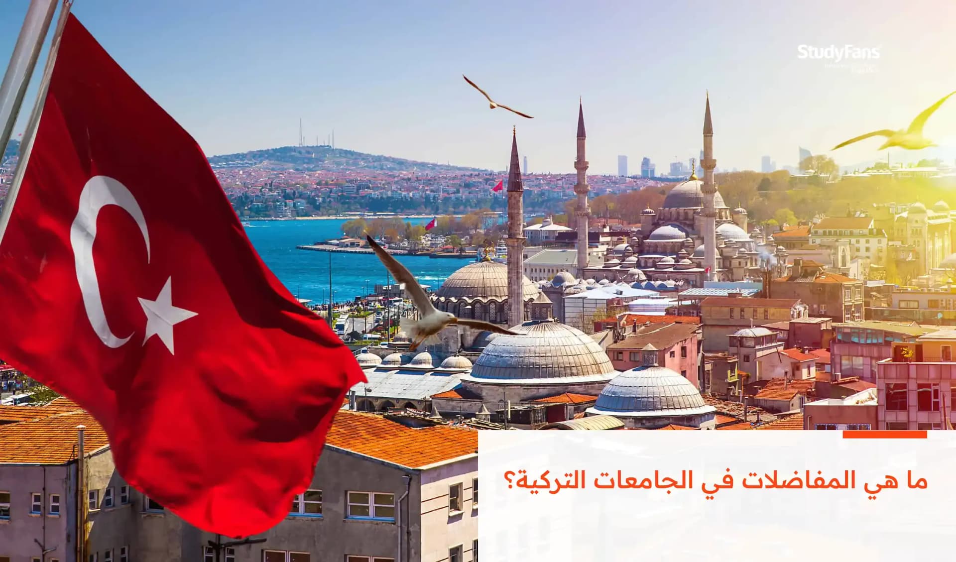 ما هي المفاضلات في الجامعات التركية؟