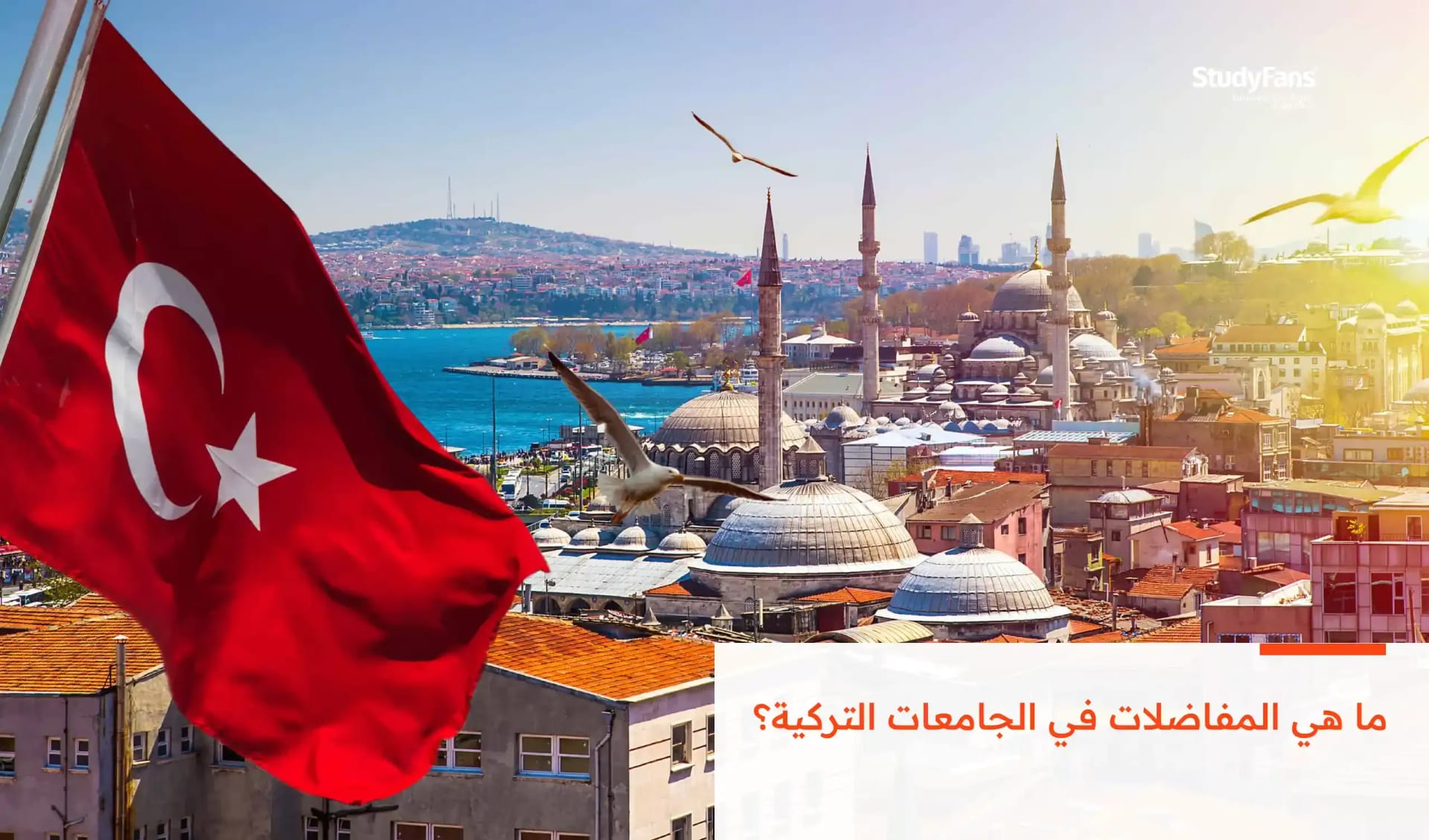 ما هي المفاضلات في الجامعات التركية؟