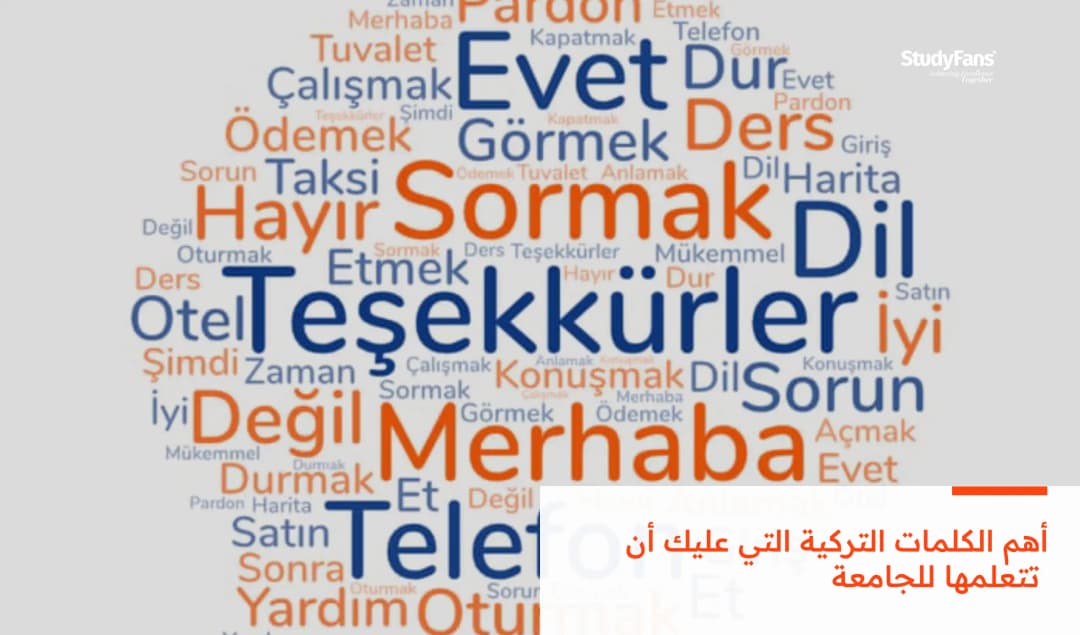 أهم الكلمات التركية التي عليك أن تتعلمها للجامعة