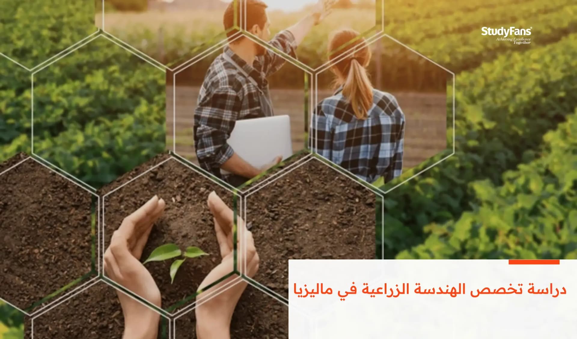 دراسة تخصص الهندسة الزراعية في ماليزيا