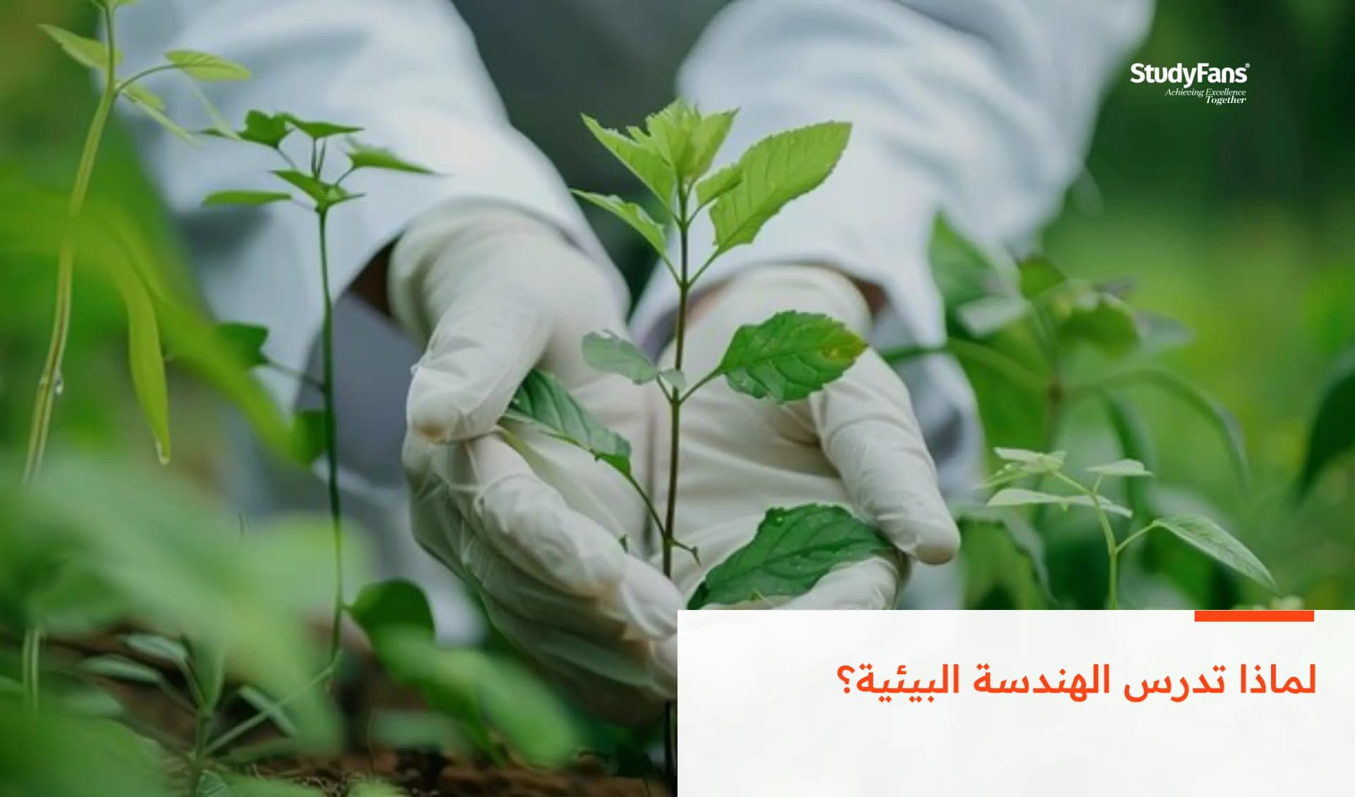 لماذا تدرس الهندسة البيئية؟