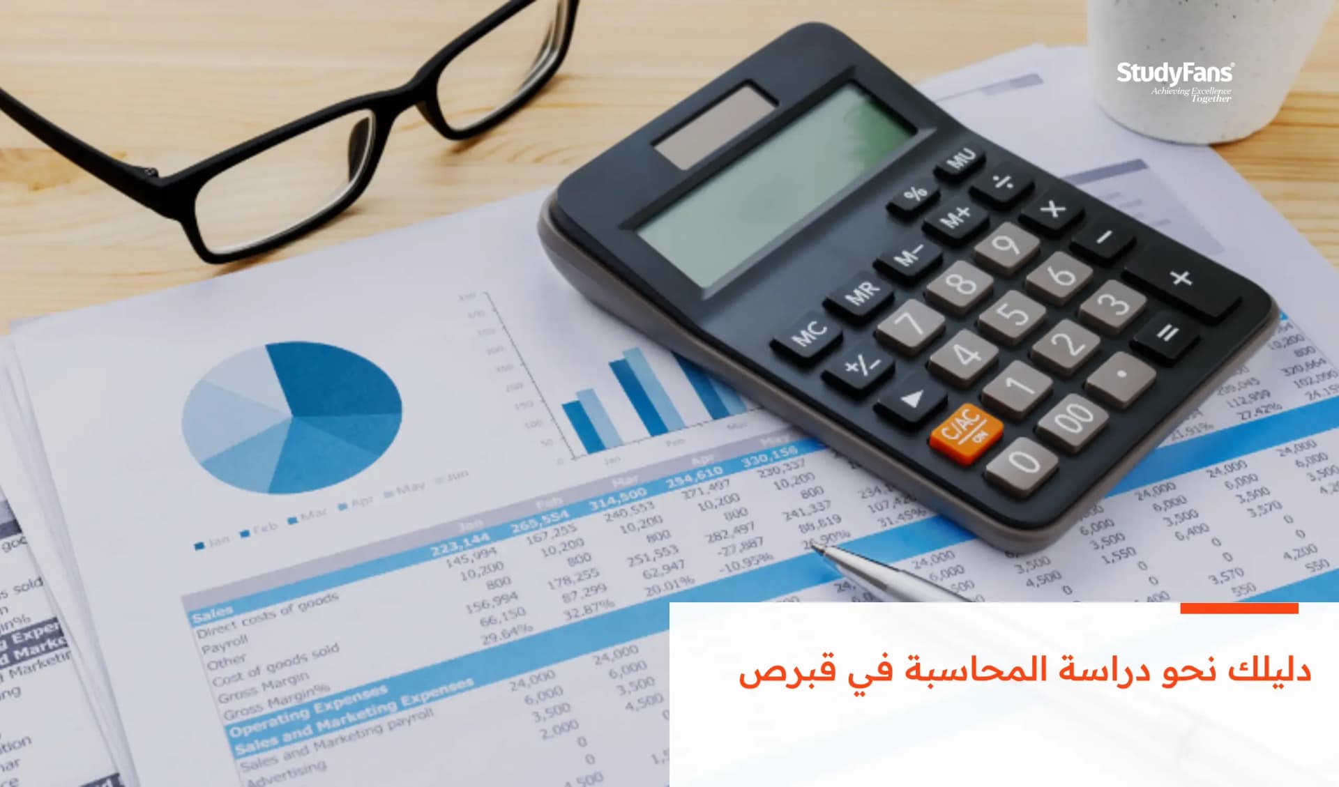 دليلك نحو دراسة المحاسبة في قبرص