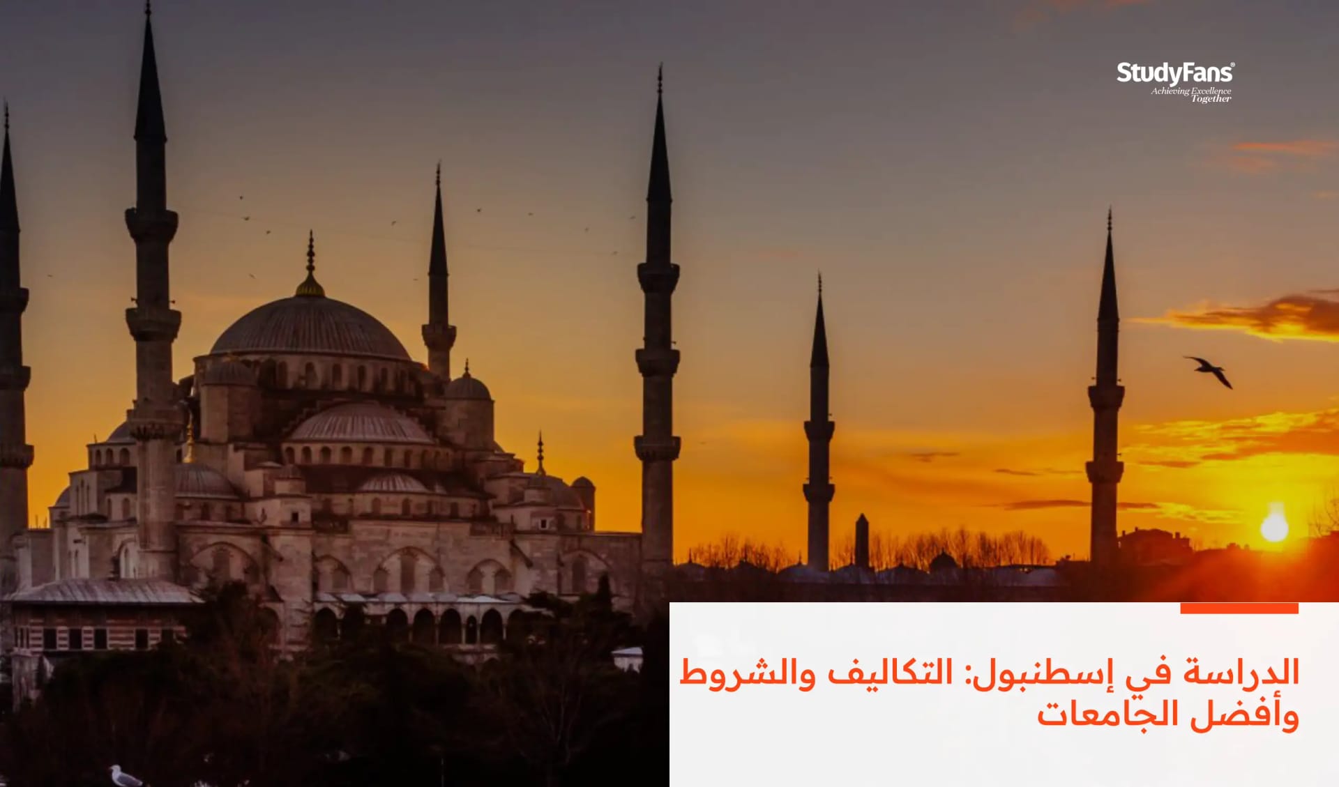 الدراسة في إسطنبول: التكاليف والشروط وأفضل الجامعات