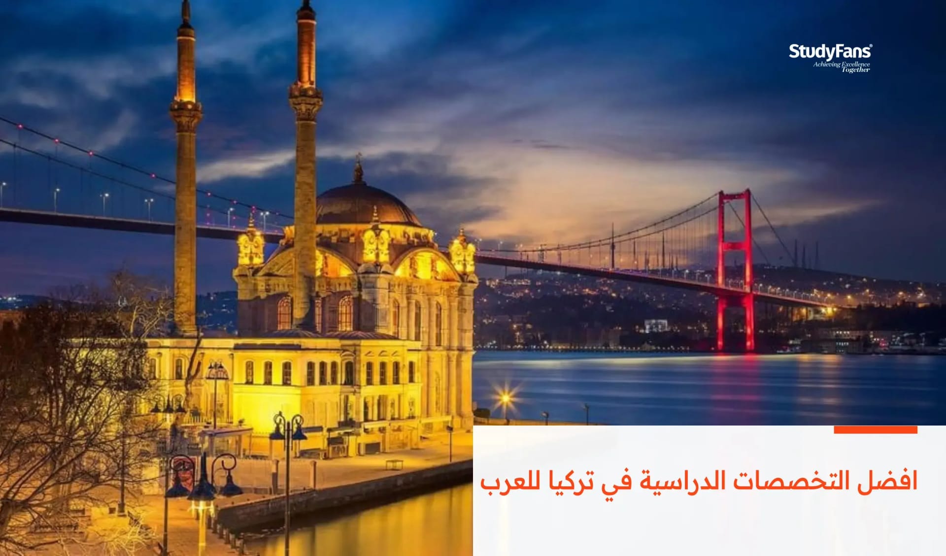 افضل التخصصات الدراسية في تركيا للعرب