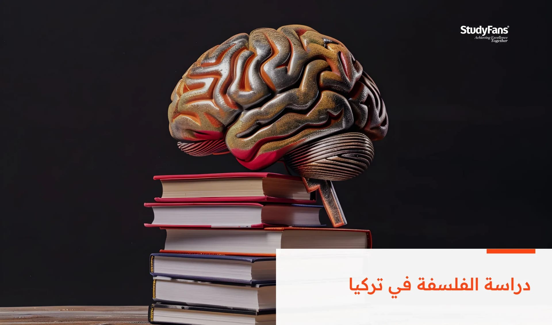 دراسة الفلسفة في تركيا، دليل الطلاب الدوليين