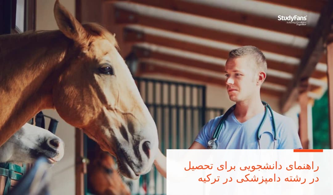 راهنمای دانشجویی برای تحصیل در رشته دامپزشکی در ترکیه