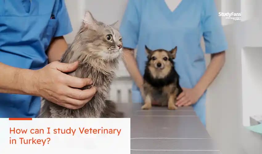 Student's Guide to Veterinary Study in Turkey