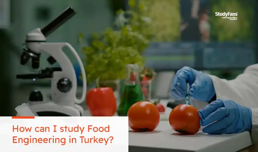 What is Food Engineering Study in Turkey?