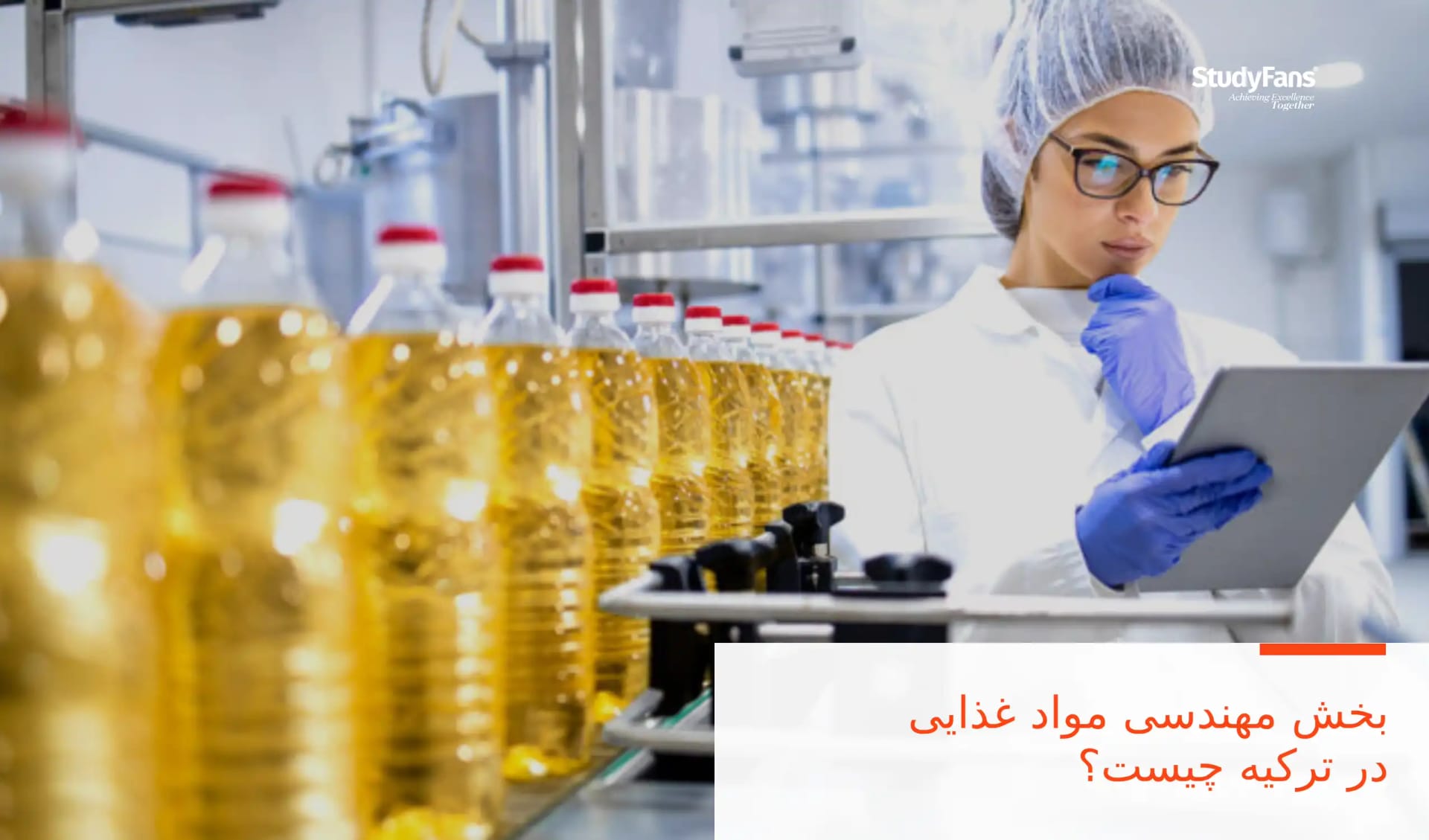 بخش مهندسی مواد غذایی در ترکیه چیست؟