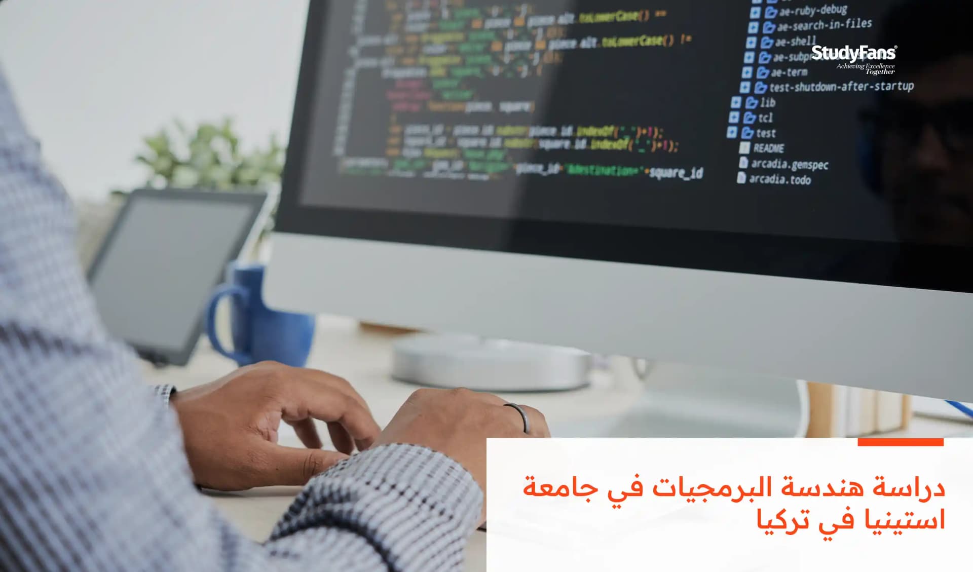 دراسة هندسة البرمجيات في جامعة استينيا