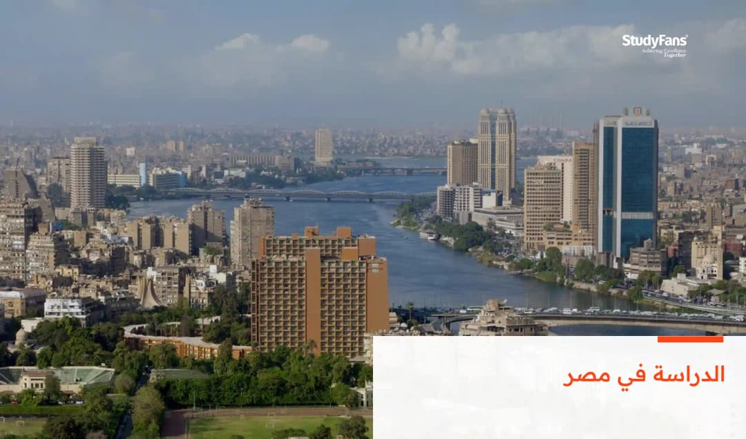 الدراسة في مصر