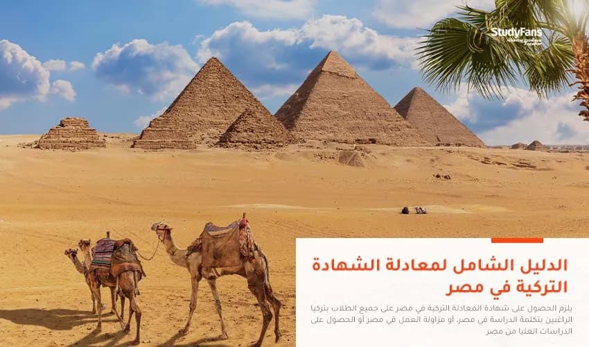 الدليل الشامل لمعادلة الشهادة التركية في مصر