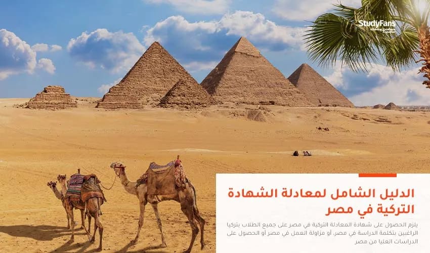 الدليل الشامل لمعادلة الشهادة التركية في مصر