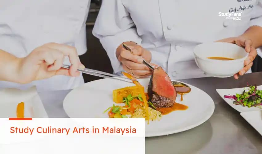 Study Culinary Arts in Malaysia 2026: Costs, Requirements, and Best Universities
