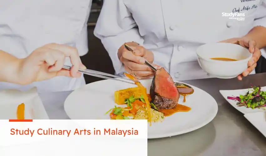 Study Culinary Arts in Malaysia 2026: Costs, Requirements, and Best Universities