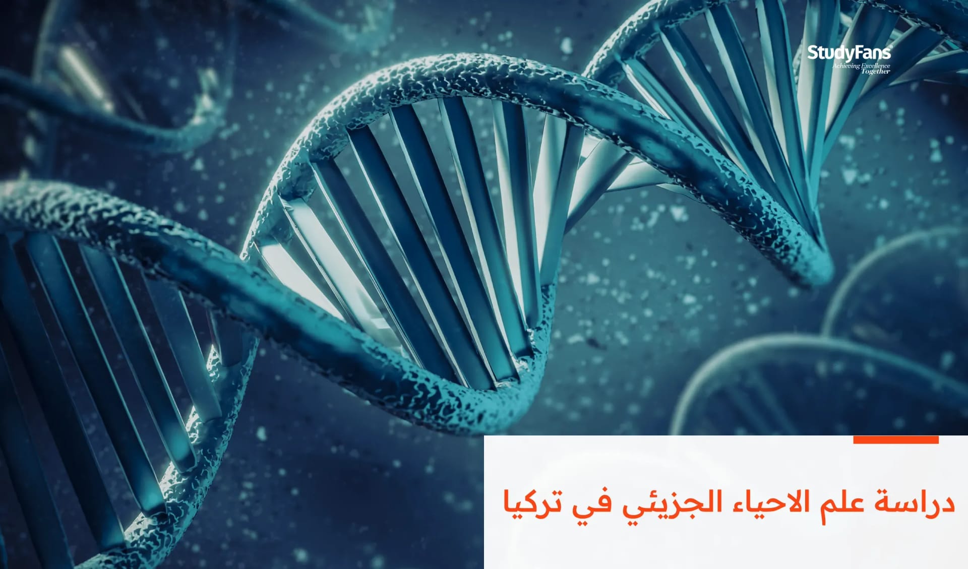 دراسة علم الاحياء الجزيئي في تركيا