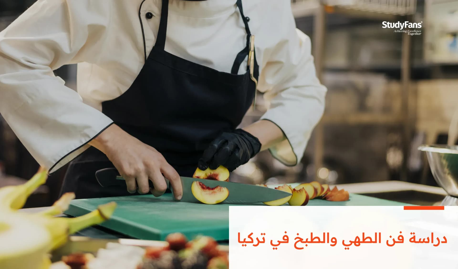 تفاصيل دراسة فن الطهي والطبخ في تركيا