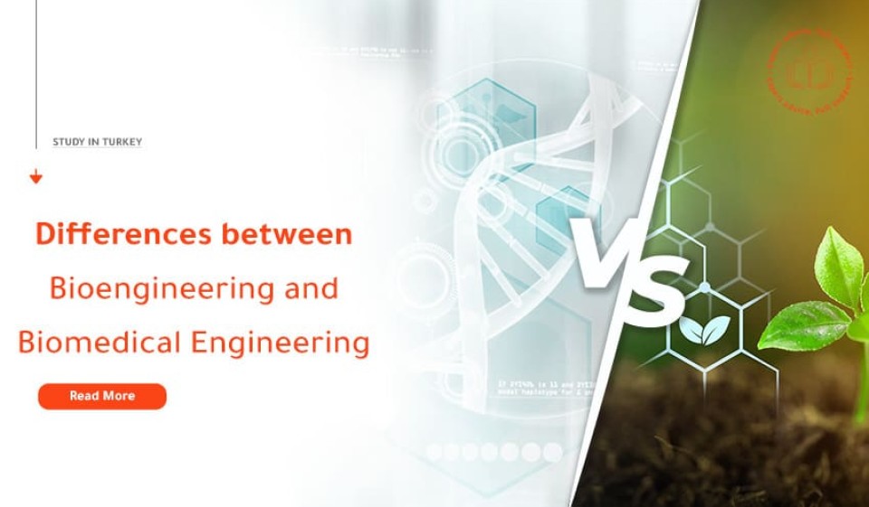 StudyFans Differences between Bioengineering and Biomedical Engineering