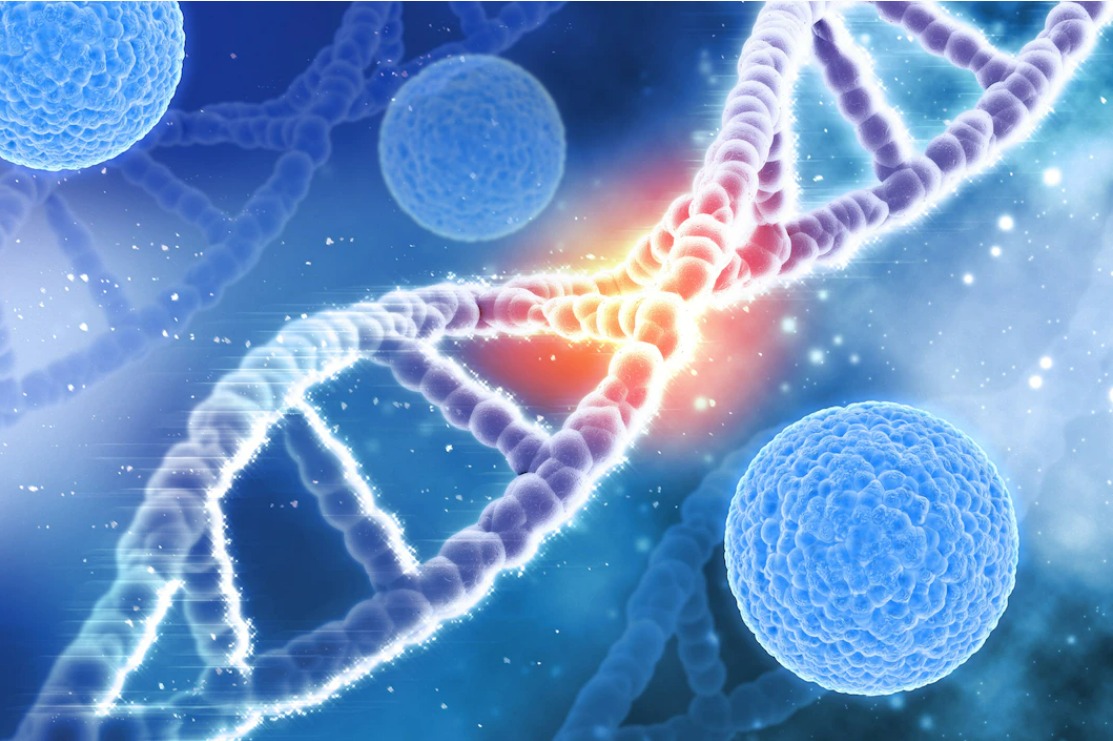 الفرق بين علم الوراثة والهندسة الوراثية