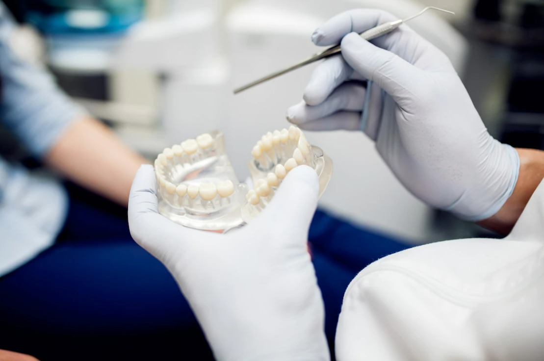 مواد دراسة طب الأسنان في جامعة استينيا