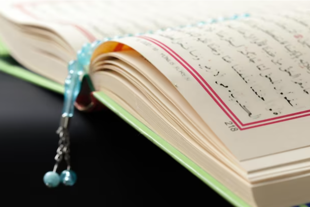 مواد دراسة اللغة العربية وآدابها في تركيا
